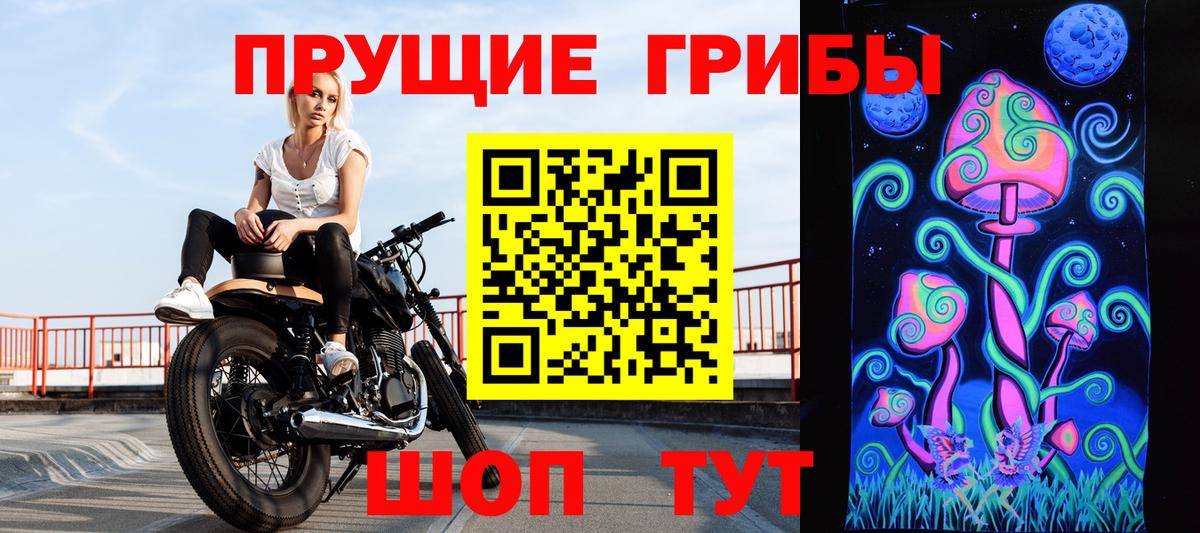 Псилоцибиновые грибы мицелий Шадринск