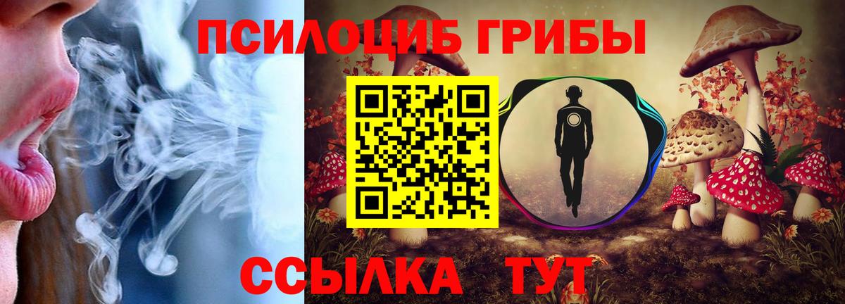 Шадринск  Псилоцибиновые грибы MAGIC MUSHROOMS  Вход с VPN 